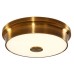 Точечный светильник Фостер-2 CL706222 Citilux