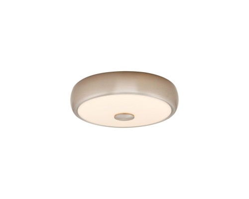 Настенно-потолочный светильник Foster-3 CL706321 Citilux