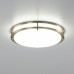 Настенно-потолочный светильник Бостон CL709323N Citilux