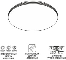 Потолочный светильник Симпла CL71424SV Citilux
