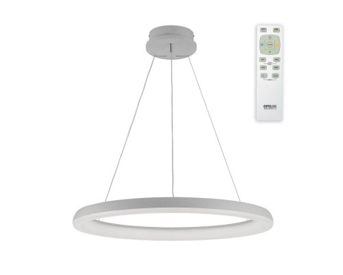 Подвесной светильник Юпитер CL730090RS Citilux