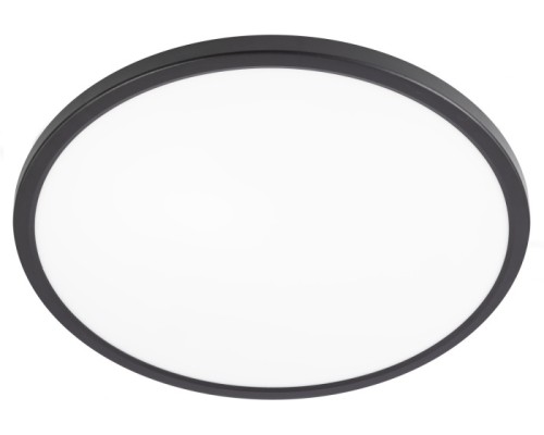 Настенно-потолочный светильник Basic Line CL738321VL Citilux Настенно-потолочный светильник Basic Line CL738321VL Citilux