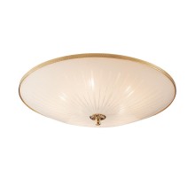 Потолочный светильник 912 CL912521 Citilux