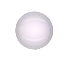Настенно-потолочный светильник 918 CL918081 Citilux