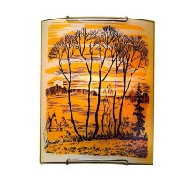 Настенный светильник 921 CL921017 Citilux