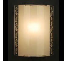 Настенный светильник 921 CL921024 Citilux