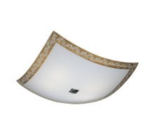 Потолочный светильник 932 CL932024 Citilux