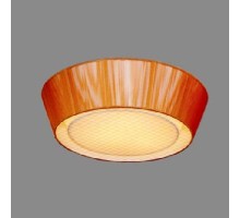 Потолочный светильник CL935012 Citilux