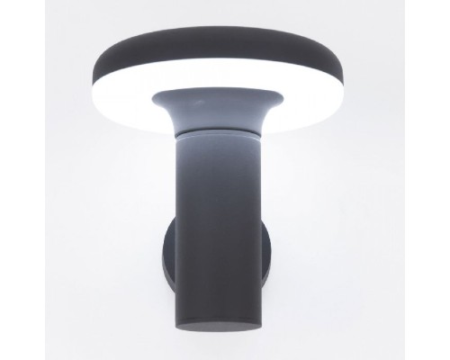 Настенный фонарь уличный CLU01W Citilux Настенный фонарь уличный CLU01W Citilux