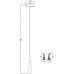Подвесной светильник Seed OMG07287-1 C1 gold DeLight Collection