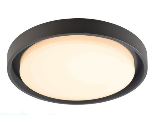 Потолочный светильник уличный Ascella 348069 Deko-Light Потолочный светильник уличный Ascella 348069 Deko-Light