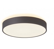Потолочный светильник Menkar 348199 Deko-Light
