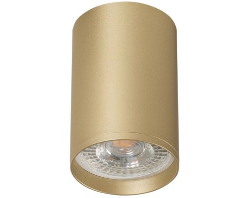Точечный светильник TUBE DK2050-SG Denkirs Точечный светильник TUBE DK2050-SG Denkirs
