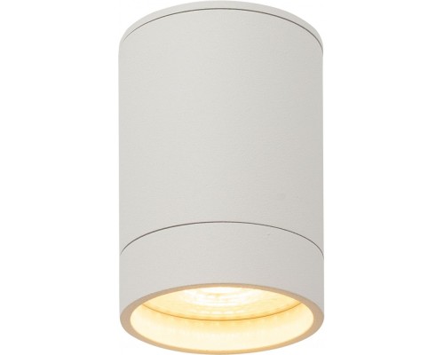 Точечный светильник DK2000 DK2050-WH Denkirs Точечный светильник DK2000 DK2050-WH Denkirs