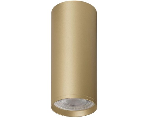 Точечный светильник TUBE DK2051-SG Denkirs Точечный светильник TUBE DK2051-SG Denkirs