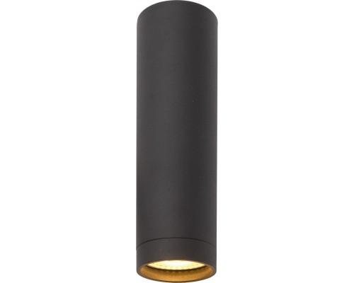 Точечный светильник DK2000 DK2052-BK Denkirs Точечный светильник DK2000 DK2052-BK Denkirs