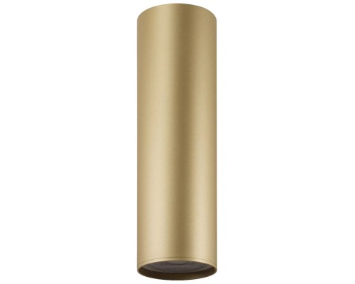 Точечный светильник TUBE DK2052-SG Denkirs Точечный светильник TUBE DK2052-SG Denkirs