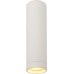 Точечный светильник DK2000 DK2052-WH Denkirs