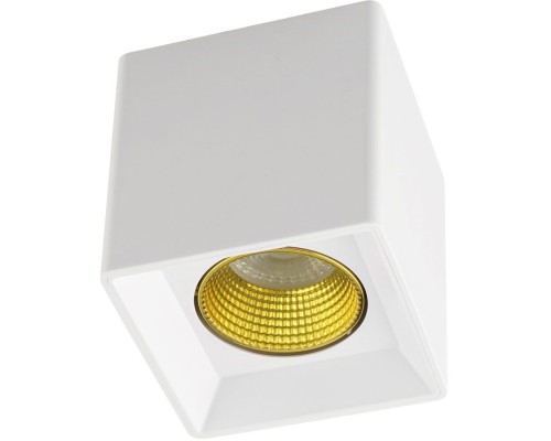 Точечный светильник DK3080-WH+YE Denkirs Точечный светильник DK3080-WH+YE Denkirs