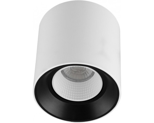 Точечный светильник DK3040 DK3090-WB+WH Denkirs Точечный светильник DK3040 DK3090-WB+WH Denkirs