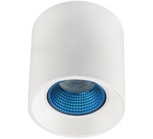 Точечный светильник DK3090-WH+CY Denkirs