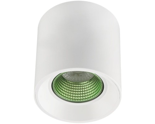 Точечный светильник DK3090-WH+GR Denkirs Точечный светильник DK3090-WH+GR Denkirs
