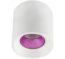 Точечный светильник DK3090-WH+PI Denkirs