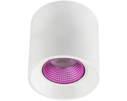 Точечный светильник DK3090-WH+PI Denkirs
