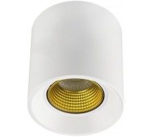 Точечный светильник DK3090-WH+YE Denkirs