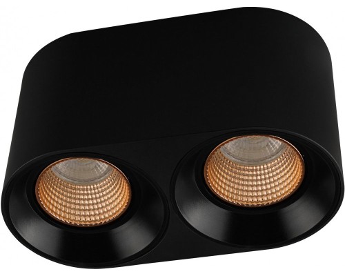 Точечный светильник DK3040 DK3096-BK+BR Denkirs Точечный светильник DK3040 DK3096-BK+BR Denkirs