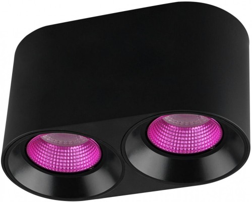 Точечный светильник DK3096-BK+PI Denkirs Точечный светильник DK3096-BK+PI Denkirs