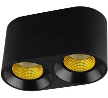 Точечный светильник DK3096-BK+YE Denkirs