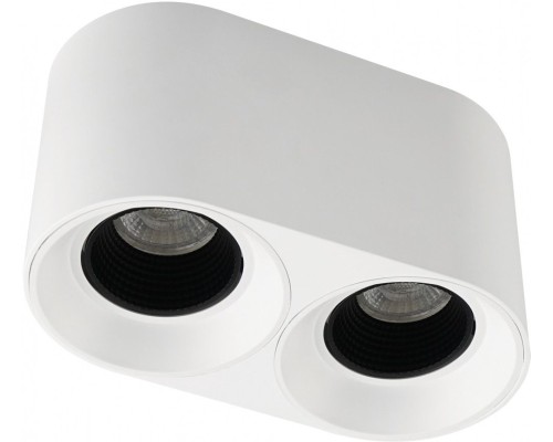 Точечный светильник DK3040 DK3096-WH+BK Denkirs Точечный светильник DK3040 DK3096-WH+BK Denkirs