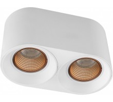 Точечный светильник DK3040 DK3096-WH+BR Denkirs