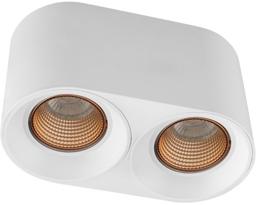 Точечный светильник DK3040 DK3096-WH+BR Denkirs Точечный светильник DK3040 DK3096-WH+BR Denkirs