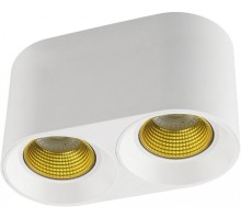 Точечный светильник DK3096-WH+YE Denkirs