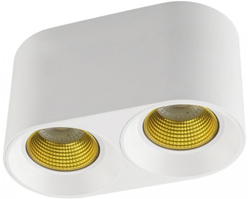 Точечный светильник DK3096-WH+YE Denkirs Точечный светильник DK3096-WH+YE Denkirs