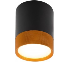 Точечный светильник DK401 DK4017-BG Denkirs