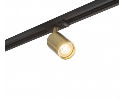 Трековый светильник DK620 DK6201-BS Denkirs Трековый светильник DK620 DK6201-BS Denkirs