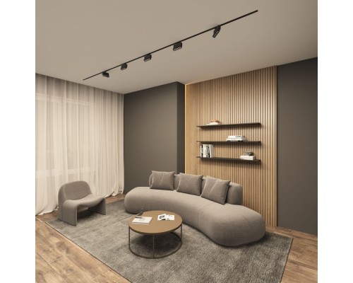 Трековый светильник Edder DK6446-BK Denkirs Трековый светильник Edder DK6446-BK Denkirs