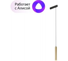 Трековый светильник SMART SPOT DK8008-BG Denkirs