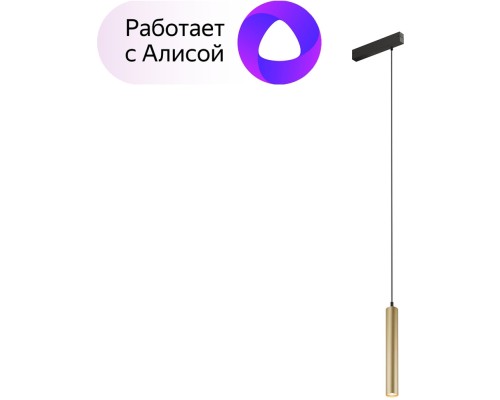 Трековый светильник SMART SPOT DK8008-BG Denkirs Трековый светильник SMART SPOT DK8008-BG Denkirs