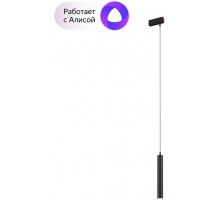 Трековый светильник Smart DK8008-BK Denkirs