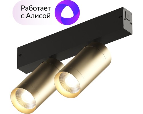 Трековый светильник SMART SPOT DK8012-BG Denkirs Трековый светильник SMART SPOT DK8012-BG Denkirs