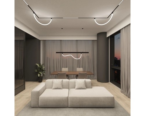 Трековый светильник SMART RAY DK8060-BK Denkirs Трековый светильник SMART RAY DK8060-BK Denkirs