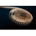 Светодиодная лента LUX DSG5120-24-W+WW-33 DesignLed