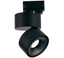 Трековый светильник WL T003112-GD-12-BL-WW DesignLed