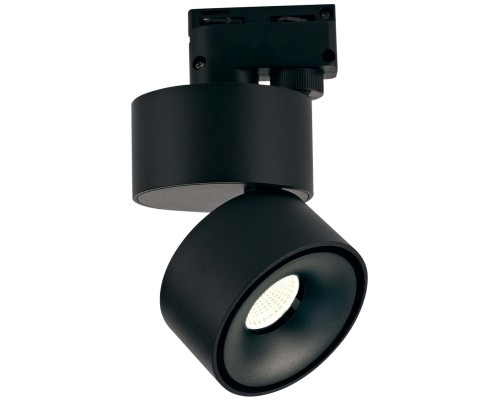 Трековый светильник WL T003112-GD-12-BL-WW DesignLed Трековый светильник WL T003112-GD-12-BL-WW DesignLed