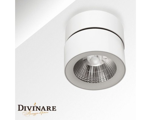 Потолочный светильник Urchin 1295/03 PL-1 Divinare Потолочный светильник Urchin 1295/03 PL-1 Divinare