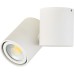 Точечный светильник Eva A1594White/RAL9003 Donolux